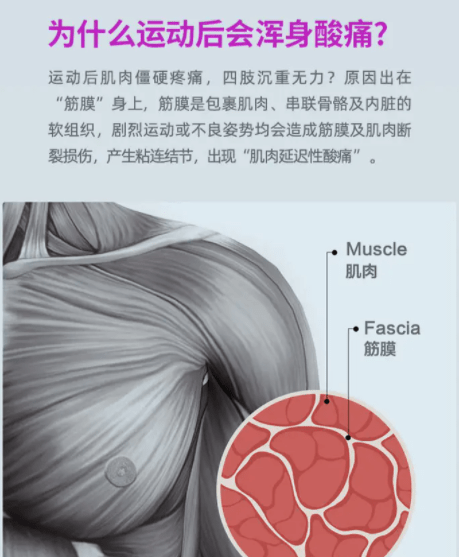 筋膜槍，是放松神器還是健康隱患？揭秘其真實效用與四大潛在風險