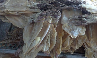 舟山海鮮干貨之王 魷魚干的傳統工藝與現代價值