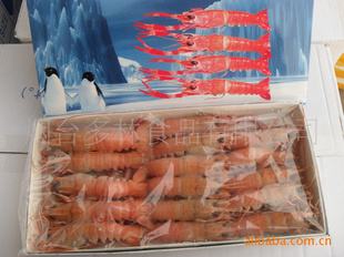 海水乳龍蝦冷凍粗加工 品質與技術并重的水產品加工新路徑