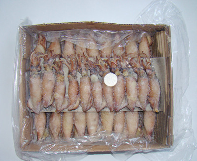 冷凍粗加工水產品 穩定供應熟凍糕魷魚與批量冷凍水產的優質選擇